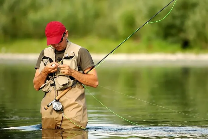 Троллинг: метод быстрой рыбной ловли