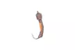 Мормышка вольфрамовая Лесотка 0.33г (Gamakatsu F31 №16), цвет: 04