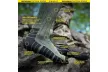 Шкарпетки тактичні Bandit Gloria Long літні р.43-45, колір: хакі