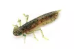 Силикон FishUP Dragonfly 0.75" (12шт/уп), цвет: 017 - Motor Oil Pepper