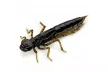 Силікон FishUP Dragonfly 0.75" (12шт/уп), колір: 043 - Watermelon Brown/Black