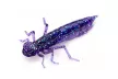 Силікон FishUP Dragonfly 1.2" (10шт/уп), колір: 060 - Dark Violet/Peacock & Silver