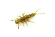 Силикон FishUP Stonefly 0.75" (12шт/уп), цвет: 074 - Green Pumpkin Seed