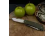 Многофункциональный нож Ruike Criterion Collection L41-G
