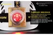 Ліхтар налобний, вибухозахищений Nitecore EH1S, 6500K (Сree XP-G2 S3, 260 люмен, 1x18650)